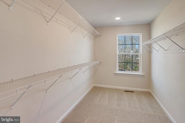 2916 WHITE TAIL DRIVE, Locust Grove, VA 22508