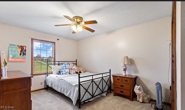 8995 Ridge Road, Wooster, OH 44691