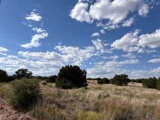 Lot 43 Pinon Springs Ranches, Magdalena, NM 87825