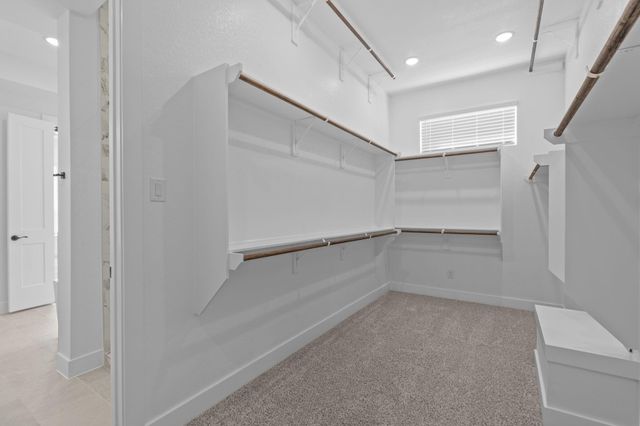 224 Sandhill Grove Trail, Waller, TX 77447