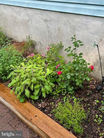 6725 PINE DR, Columbia, MD 21046