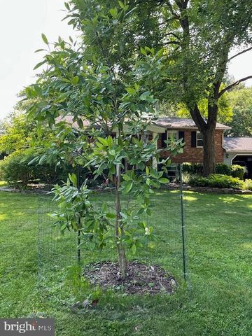 6725 PINE DR, Columbia, MD 21046