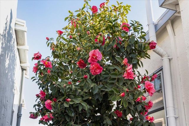 1720 Walnut St., Alameda, CA 94501