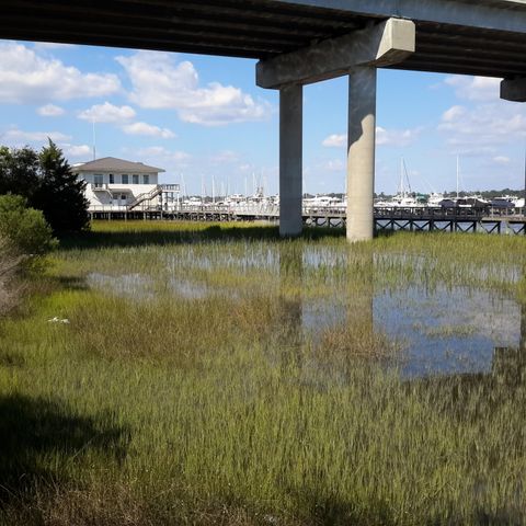 1563 Headquarters Plantation Drive, Johns Island, SC 29455