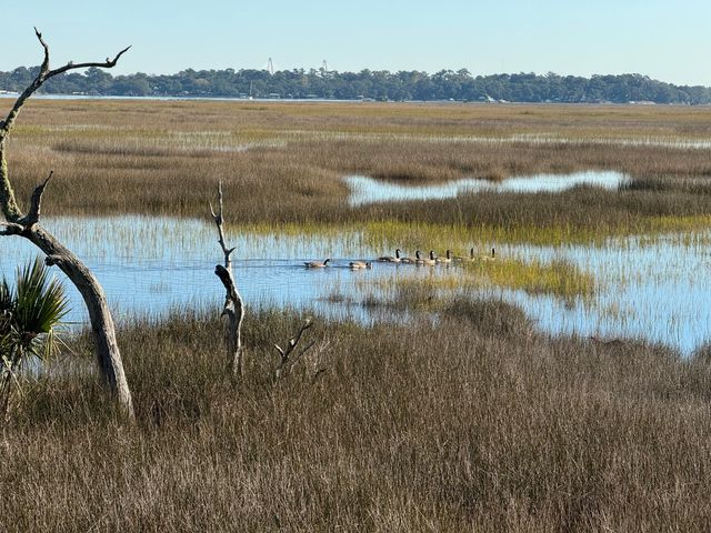 1563 Headquarters Plantation Drive, Johns Island, SC 29455