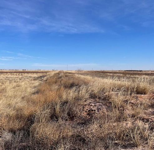 10 Lovebird Road, Smyer, TX 79367