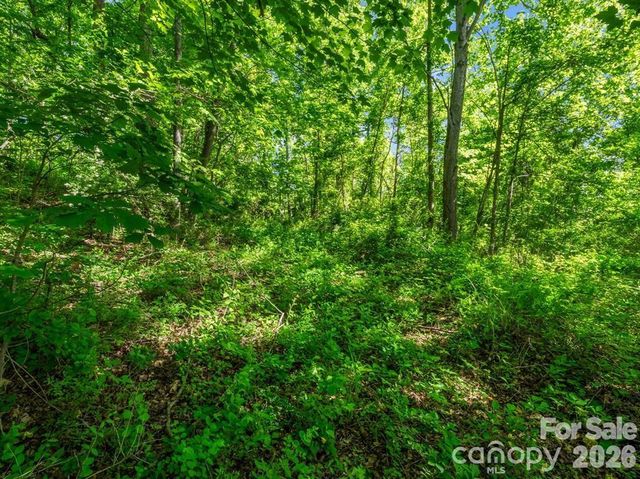 88 Hamilton Acres Drive, Hendersonville, NC 28791