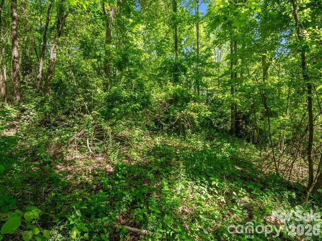 88 Hamilton Acres Drive, Hendersonville, NC 28791
