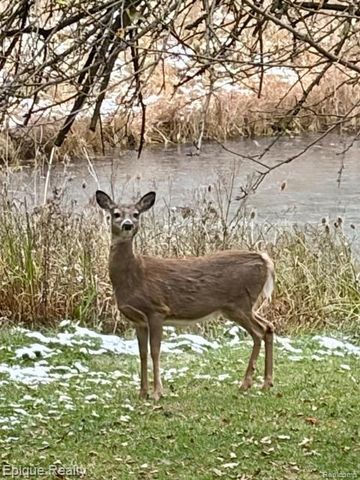 1 Chelsea Court, Metamora, MI 48455