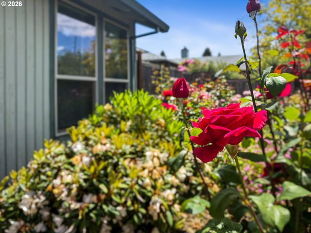 3113 B St, Forest Grove, OR 97116