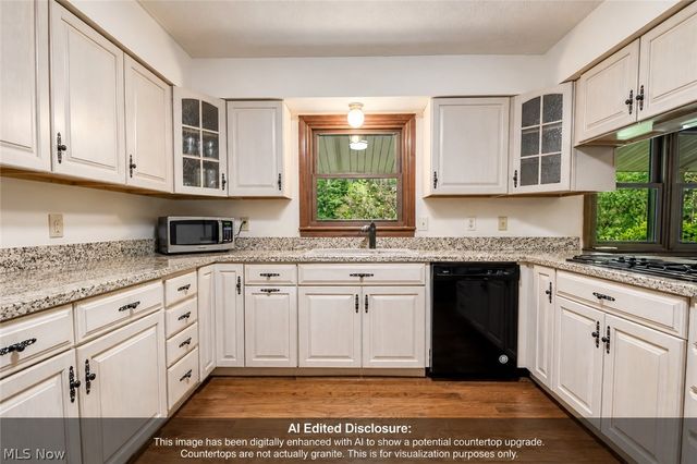 9412 Beaver Creek Drive, Mentor, OH 44060