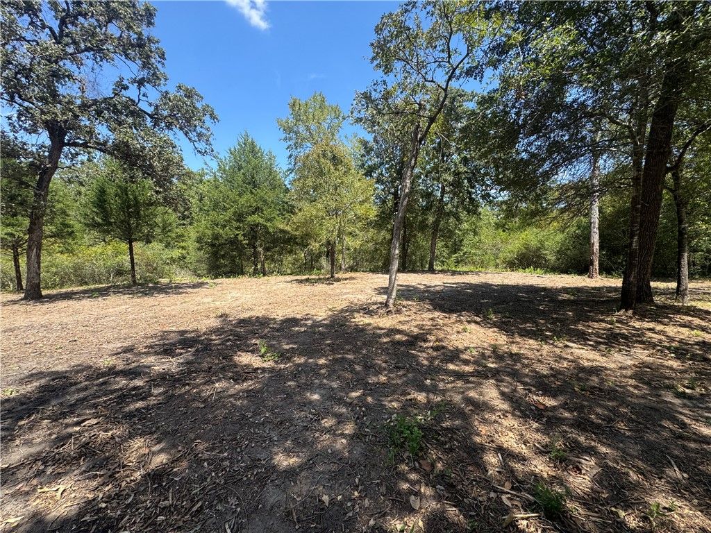 11428 Debbie Lane, Iola, TX 77861 — photo 4