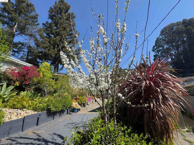 7907 Michigan Ave, Oakland, CA 94605