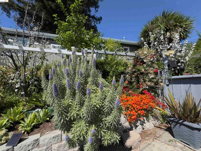 7907 Michigan Ave, Oakland, CA 94605