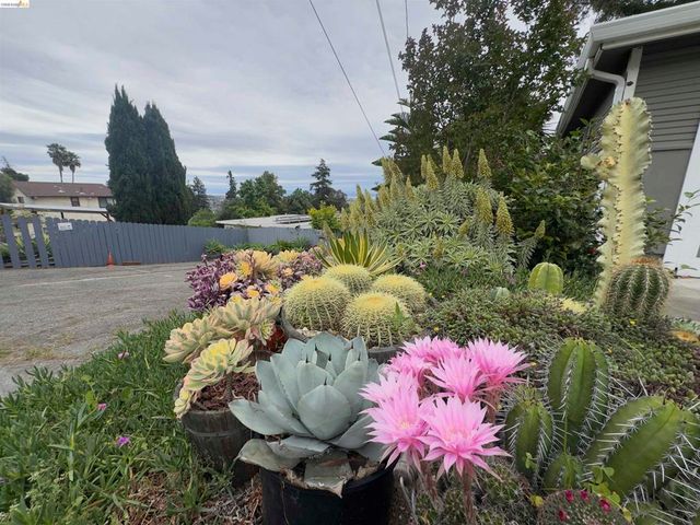 7907 Michigan Ave, Oakland, CA 94605
