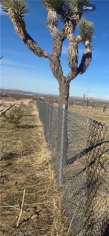 136 E Avenue W8, Pearblossom, CA 93553