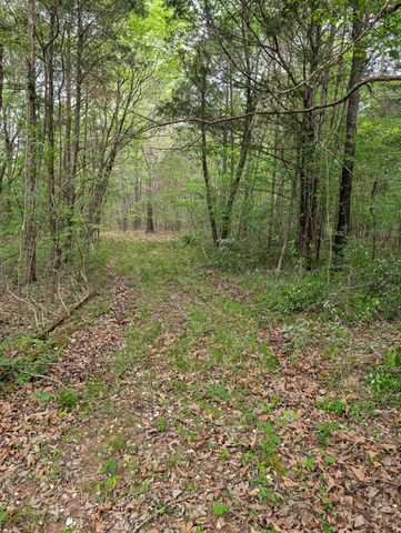 0 Hwy 41 A, Shelbyville, TN 37160
