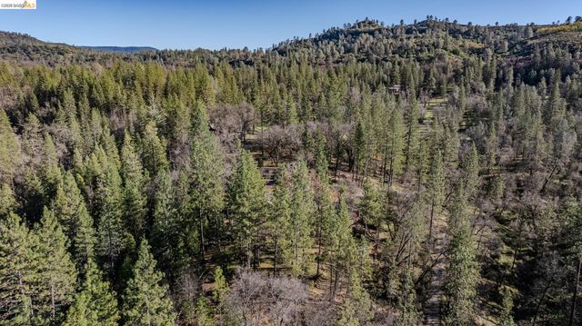 6145 Swiss Ranch Rd, Mountain Ranch, CA 95246