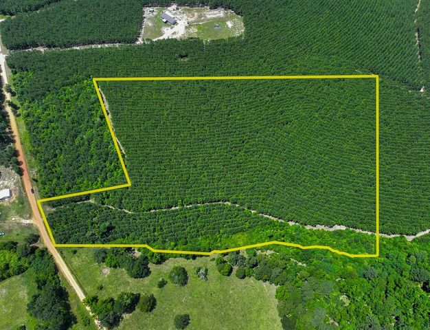 20.1 Ac Menard Chapel Road, Livingston, TX 77351