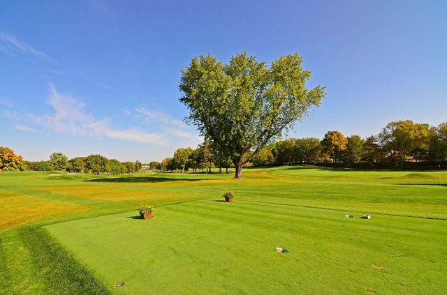 5232 Brookview Avenue, Edina, MN 55424