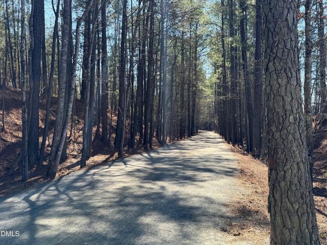 10046 Secluded Garden Drive Lot 198, Apex, NC 27523