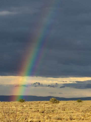 50 Clinger Lane, Los Lunas, NM 87031