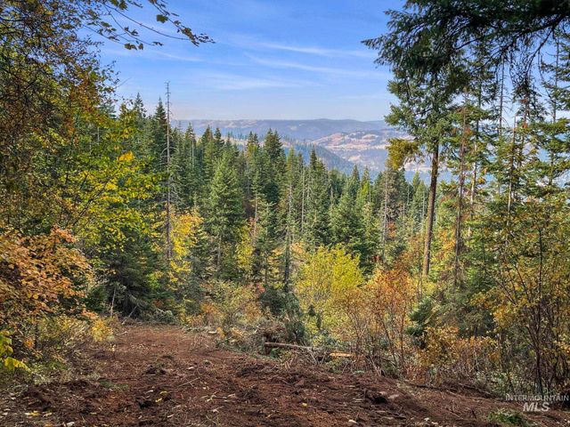 472 Mountain Top Drive, Orofino, ID 83544