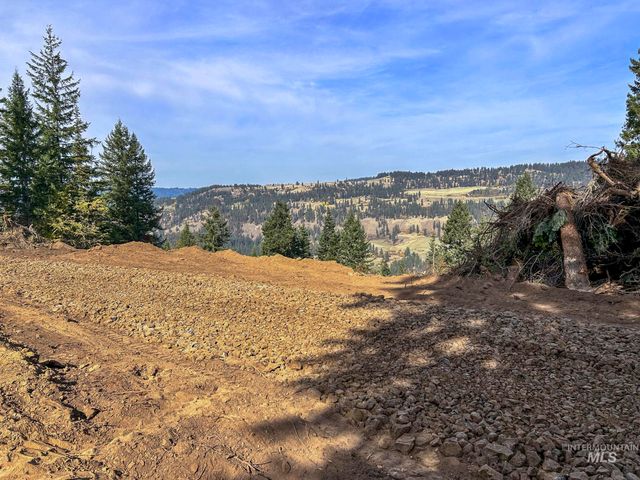 472 Mountain Top Drive, Orofino, ID 83544