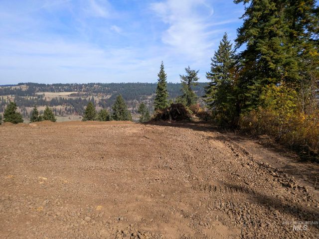 472 Mountain Top Drive, Orofino, ID 83544
