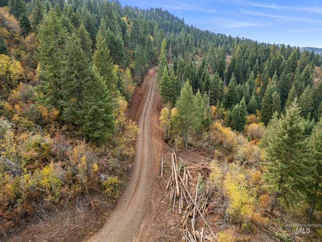 472 Mountain Top Drive, Orofino, ID 83544