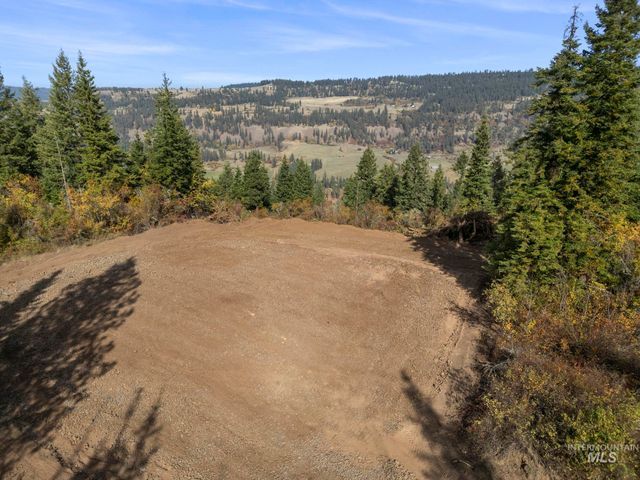 472 Mountain Top Drive, Orofino, ID 83544
