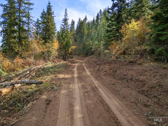 472 Mountain Top Drive, Orofino, ID 83544