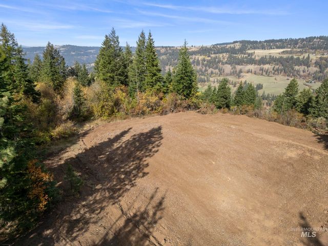 472 Mountain Top Drive, Orofino, ID 83544