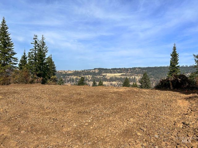 472 Mountain Top Drive, Orofino, ID 83544