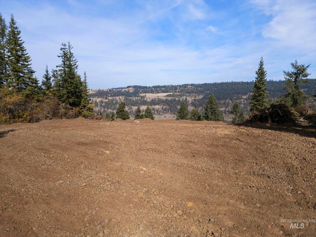 472 Mountain Top Drive, Orofino, ID 83544