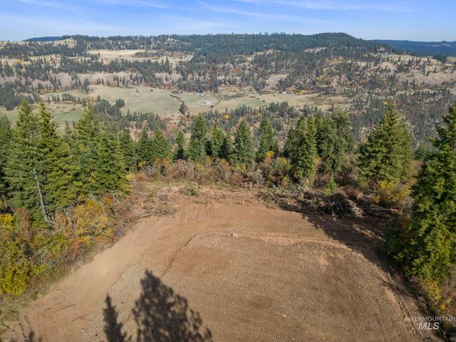 472 Mountain Top Drive, Orofino, ID 83544