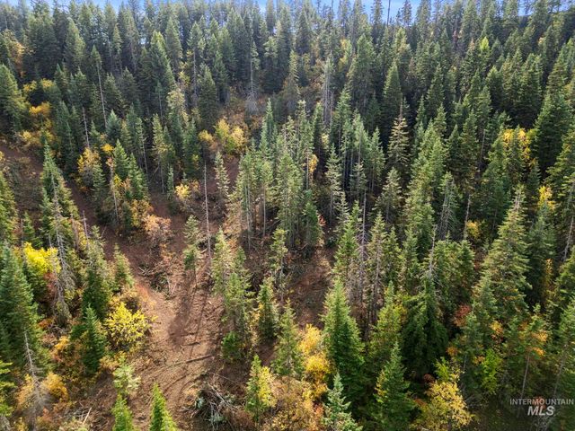 472 Mountain Top Drive, Orofino, ID 83544