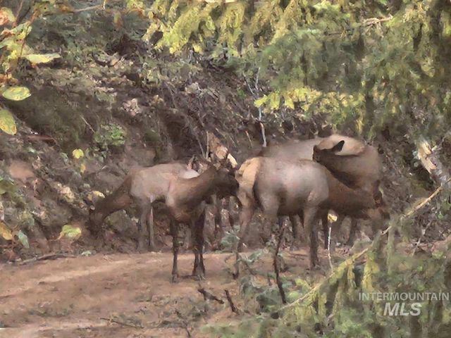 472 Mountain Top Drive, Orofino, ID 83544