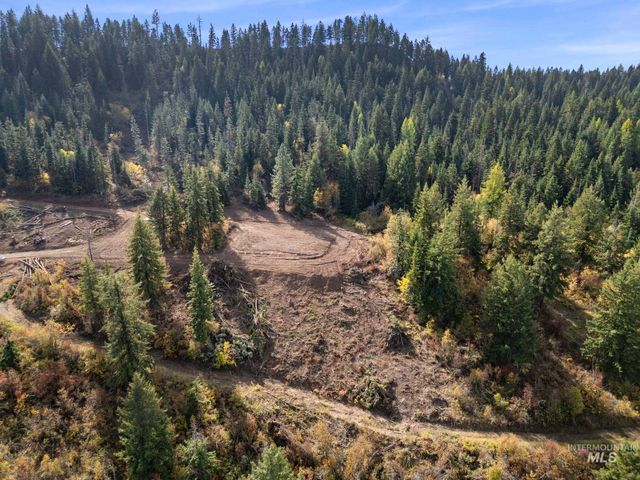 472 Mountain Top Drive, Orofino, ID 83544