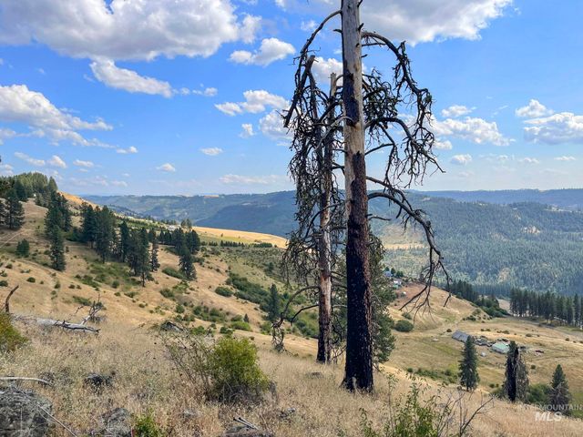 472 Mountain Top Drive, Orofino, ID 83544