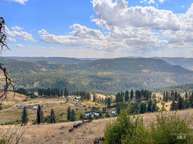 472 Mountain Top Drive, Orofino, ID 83544