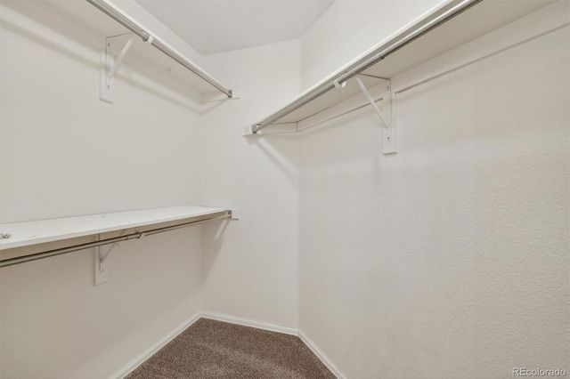 12821 Buckhorn Creek Street, Parker, CO 80134
