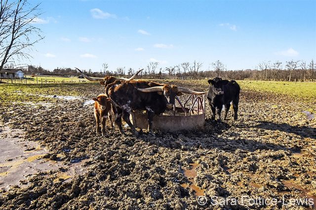 1595 Angling Road, Grandville, MI 49418