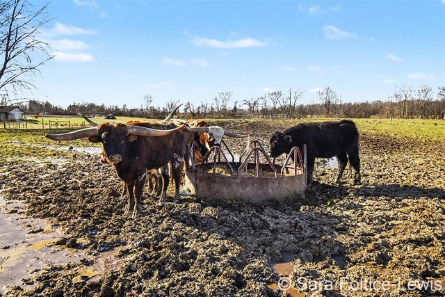 1595 Angling Road, Grandville, MI 49418