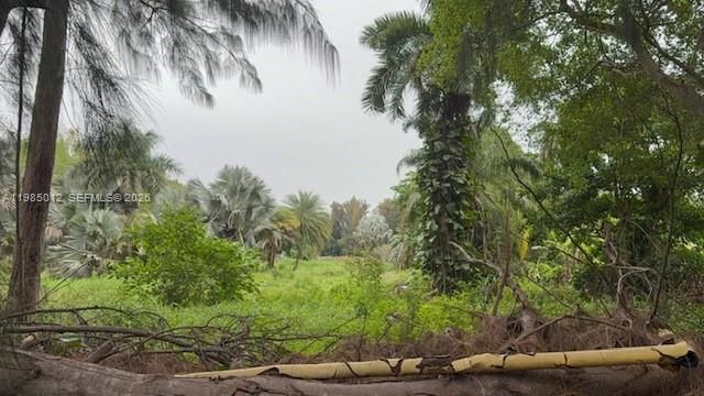 5100 SW 64th Ave 202, Davie, FL 33314