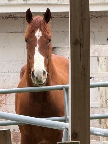 5100 SW 64th Ave 202, Davie, FL 33314