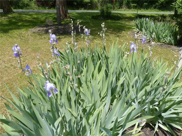 684 Marsh Road, Pittsford, NY 14534