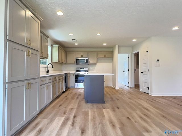 314 Asher Drive, Rainbow City, AL 35906