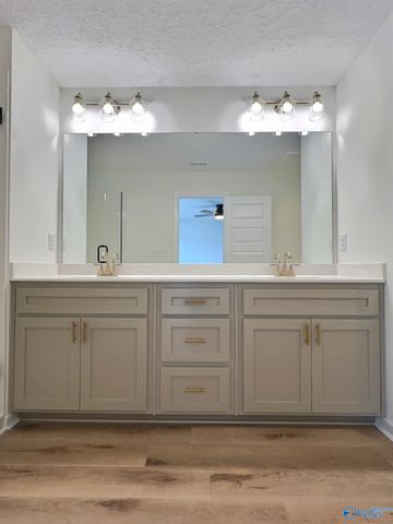 314 Asher Drive, Rainbow City, AL 35906