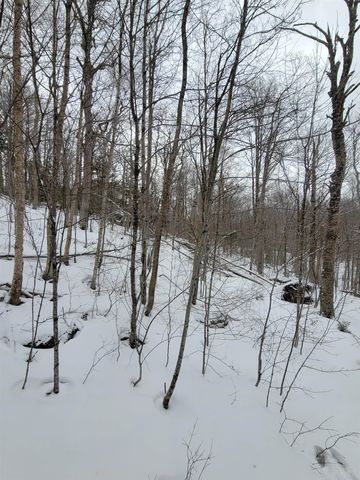 845 Bailey Hill Road, Readsboro, VT 05350